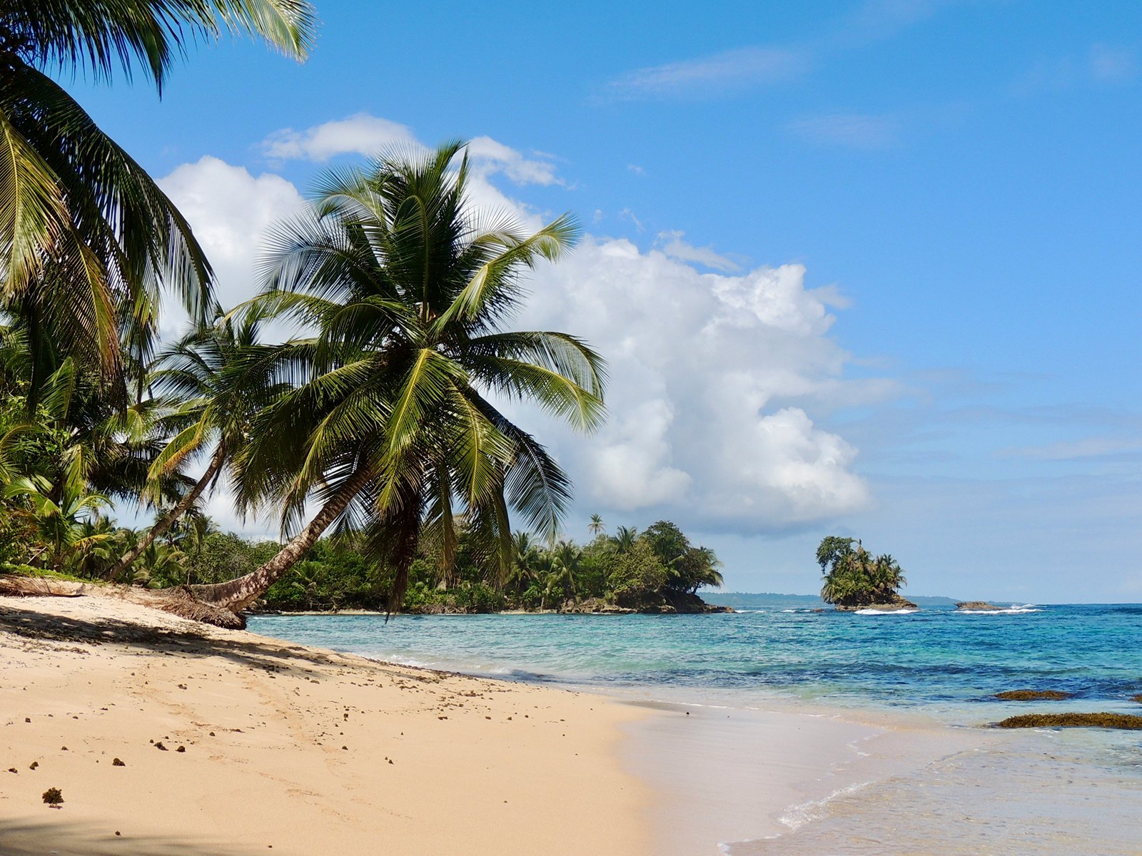 Het strand van Bocas del Toro in Panama met palmbomen en een blauwe zee.